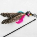 Canne à pêche pour chats avec plumes 5