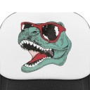 Cap with Dinosaur 18