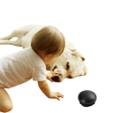 Capcană pentru gândaci Momeală versatilă 6 buc cu unghi de 360° Orificiu 0,5 cm Sigură pentru copii și animale de companie Neagră pentru utilizare în interior 5