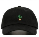 Cappellino con cactus 3