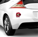 Car Lip Sticker 2
