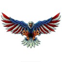 Car Sticker Eagle B494 1