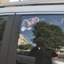 Car Sticker - Eagle L13 3