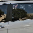 Car Sticker - Eagle L13 5