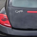 Car Sticker Gecko B489 4
