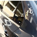 Car Sticker Gecko B500 4