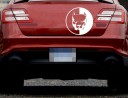 Car Sticker Pitbull 4