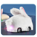 Carro RC com comando de relógio 2,4 GHz brinquedo infantil com luzes LED mini carro de corrida com animal coelho carro recarregável para crianças 6