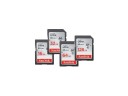 Carte mémoire SD - 16 Go - 128 Go 2