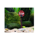 Cartello di avviso STOP per acquario 6,5 x 4,5 x 16 cm Decorazione per acquario in resina Segnale di avviso Accessorio sicuro per acquario 2