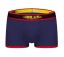 Carter Herren-Boxershorts 6