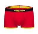 Carter Herren-Boxershorts 4