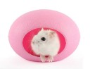 Casa oval para roedores 4