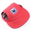 Casquette pour chiens 9