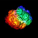 Catena luminosa LED con rose 6