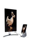 Cavo HDMI Multimediale per Mirroring dello Schermo del Telefono su TV USB-C e micro USB Corpo in Alluminio Plug and Play Nero per Dispositivi Android 2