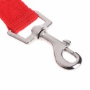 Ceinture de sécurité pour chien dans la voiture 4