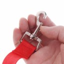 Ceinture de sécurité pour chien dans la voiture 6