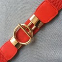 Ceinture élastique pour femmes L47 3