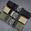 Ceinture pour homme L252 2
