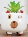 Ceramic Animal-Shaped Flower Pot C923 8