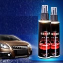 Ceramic Paint Protection 2