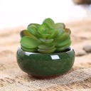 Ceramic Succulent Pot 8 pcs 2