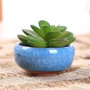 Ceramic Succulent Pot 8 pcs 4