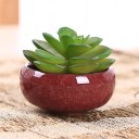 Ceramic Succulent Pot 8 pcs 6