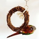 Cercle suspendu pour oiseaux 3