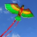 Cerf-volant en forme de perroquet J1973 6