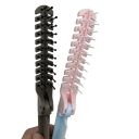 Cestovný skladací hrebeň 2v1 20,5 cm zložený 10,9 cm Kapsičkový masážny hrebeň s guľôčkami na zuboch pre úpravu a styling vlasov 1