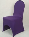 Chair Cover E2402 7