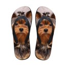 Chanclas de mujer con motivo de perro 2