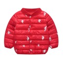 Chaqueta de invierno para niños L1978 2