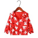 Chaqueta infantil L1861 9