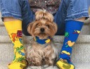 Chaussettes à motifs A1425 2