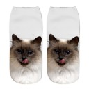 Chaussettes avec des chats A1485 3