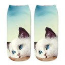 Chaussettes avec des chats A1485 5