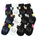 Chaussettes avec des chats 2