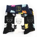 Chaussettes avec des chats 5