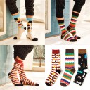 Chaussettes colorées pour hommes Adam 7