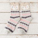 Chaussettes d'hiver pour femmes 15
