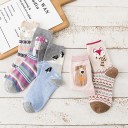 Chaussettes d'hiver pour femmes 10