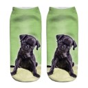 Chaussettes de cheville - Chien 14