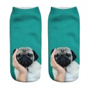 Chaussettes de cheville - Chien 4
