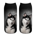 Chaussettes de cheville - Chien 6