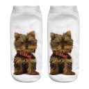 Chaussettes de cheville - Chien 10