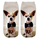 Chaussettes de cheville pour enfants - Chiens 4