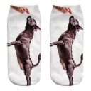 Chaussettes de cheville pour femmes avec chien A667 8